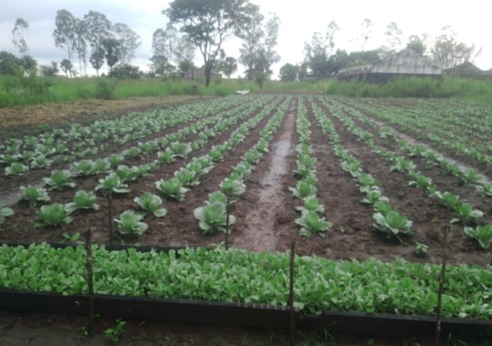 Agriculture